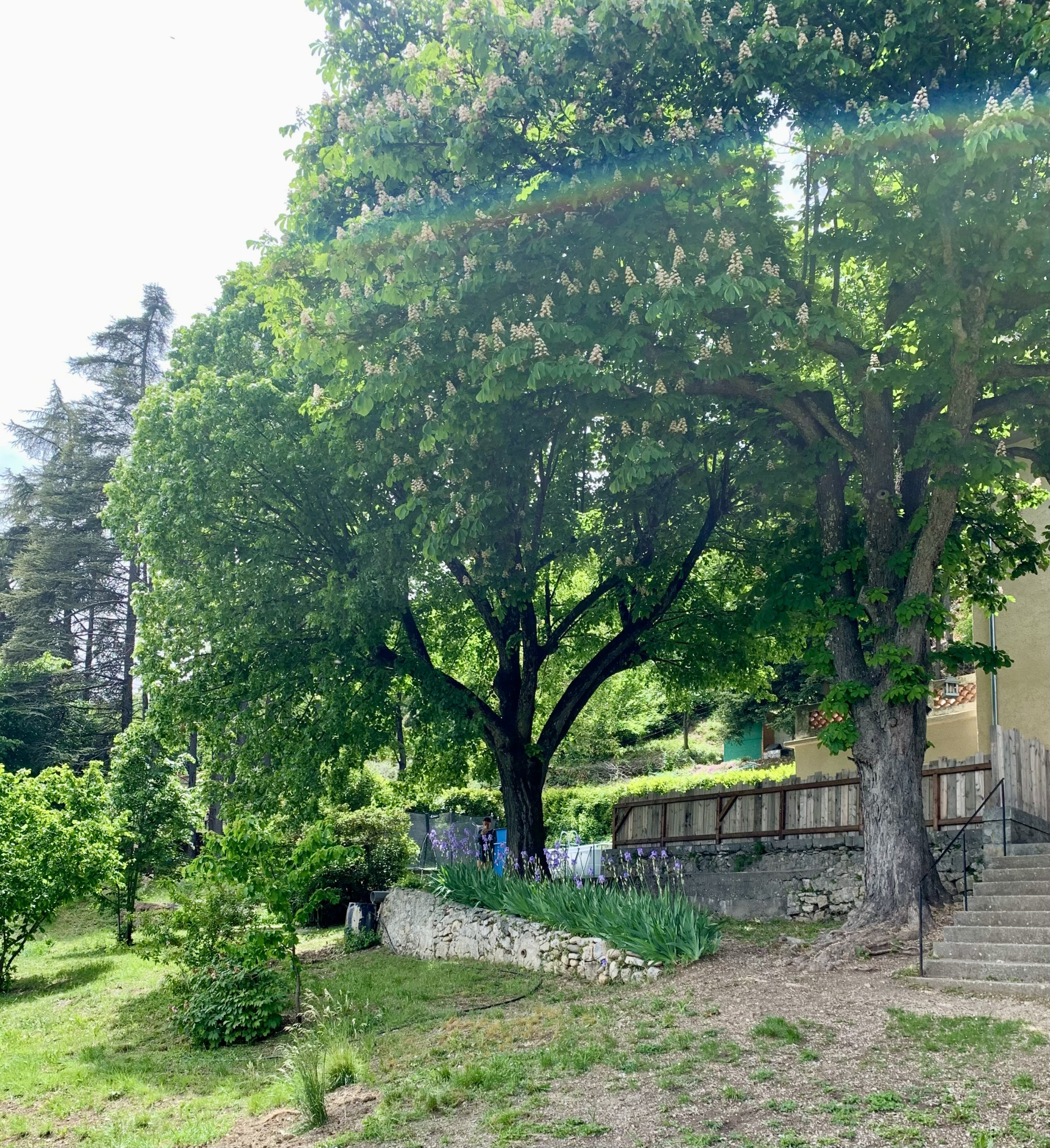 Image_7, Maison, Sisteron, ref :2062-24B