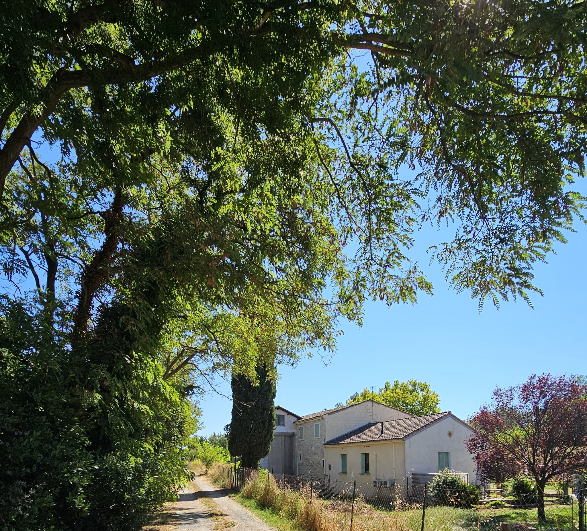 Image_3, Mas, Saint-Gilles, ref :2198-25
