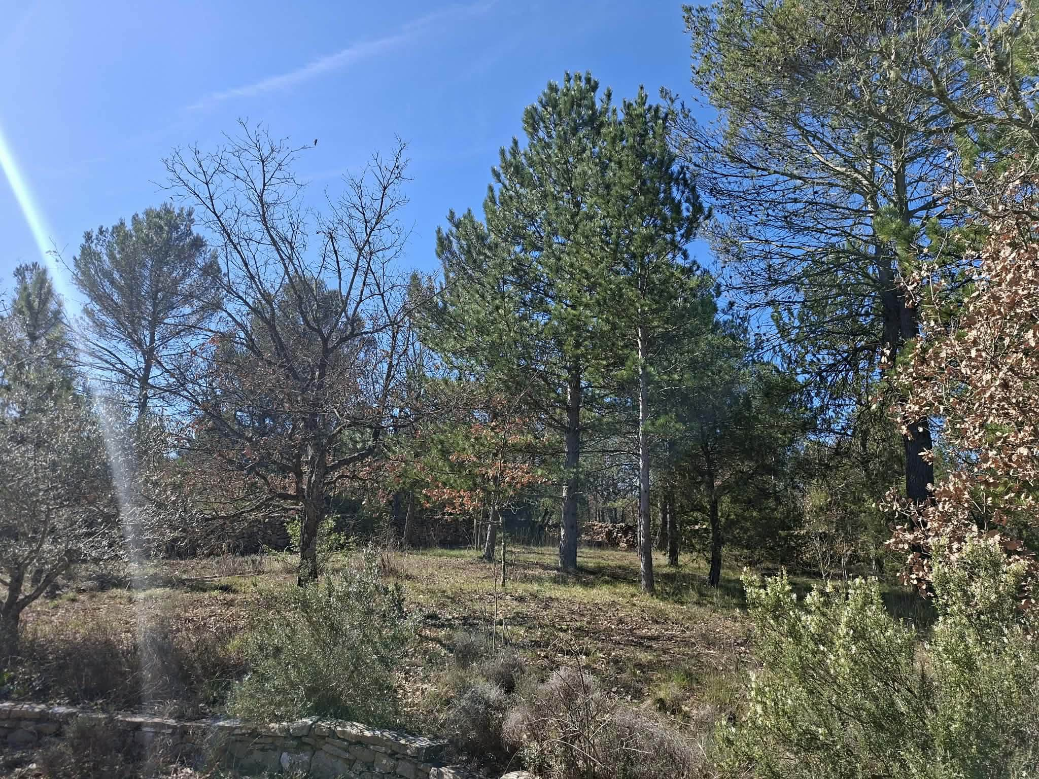 Image_14, Maison, La Verdière, ref :2251-25