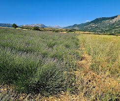 Image_27, Château, Digne-les-Bains, ref :2049-24