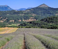 Image_23, Château, Digne-les-Bains, ref :2049-24