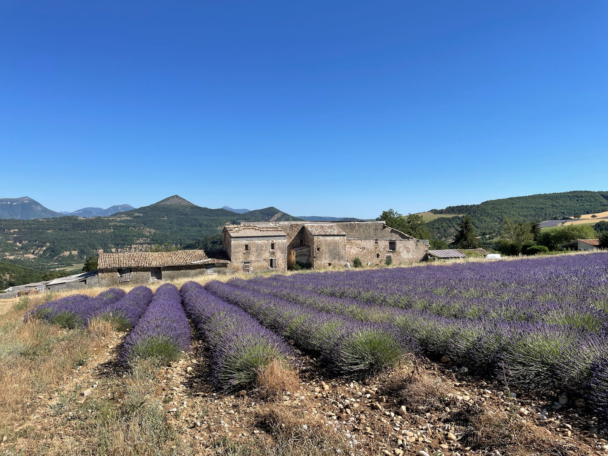 Image_20, Château, Digne-les-Bains, ref :2049-24