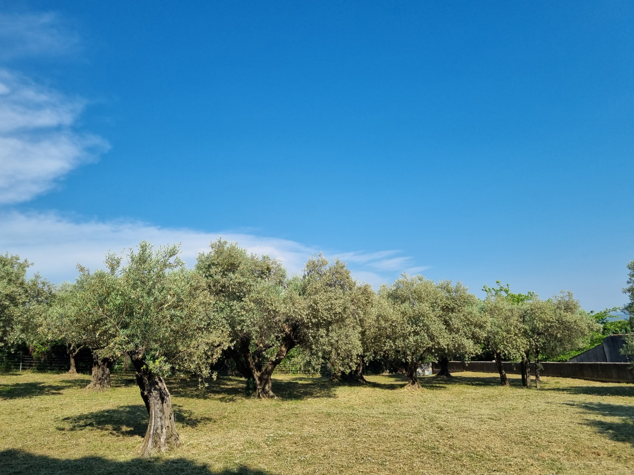 Image_11, Villa, Manosque, ref :2331-26