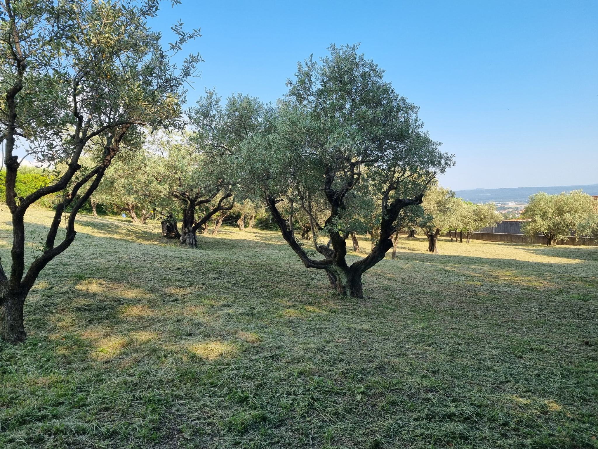 Image_9, Villa, Manosque, ref :2331-26