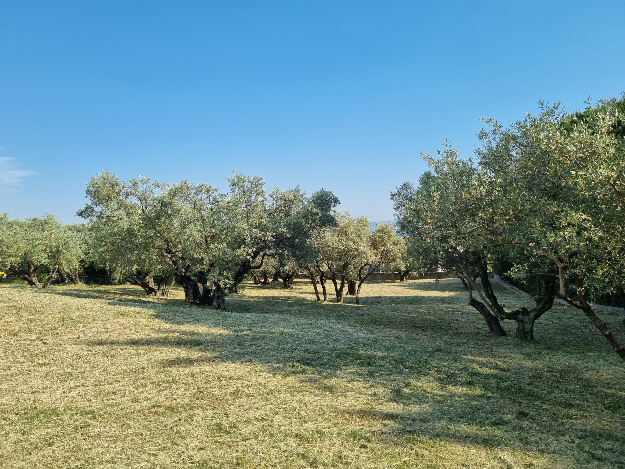 Image_7, Villa, Manosque, ref :2331-26