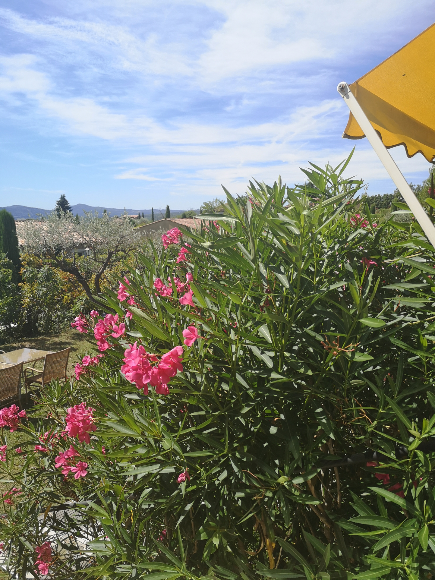 Image_18, Fonds de commerce, Forcalquier, ref :2274-26